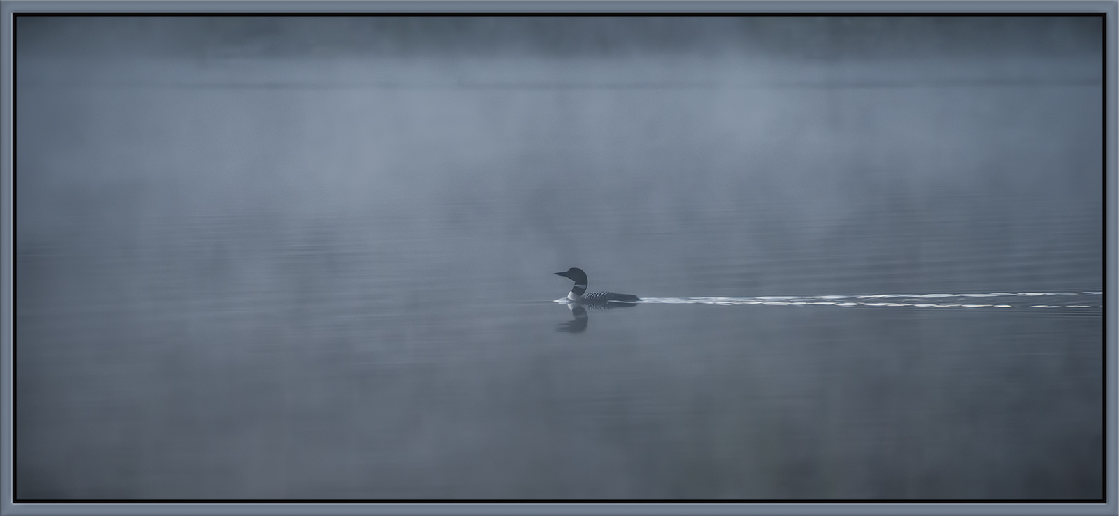 Misty Morning