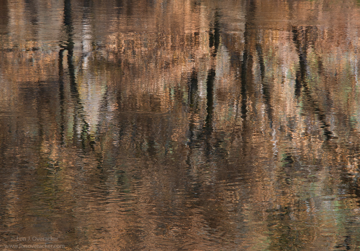 Time to Reflect +crop
