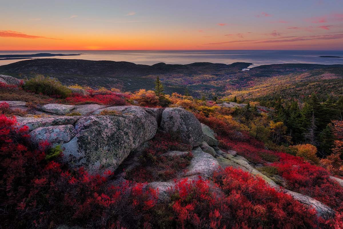 Acadia Embers