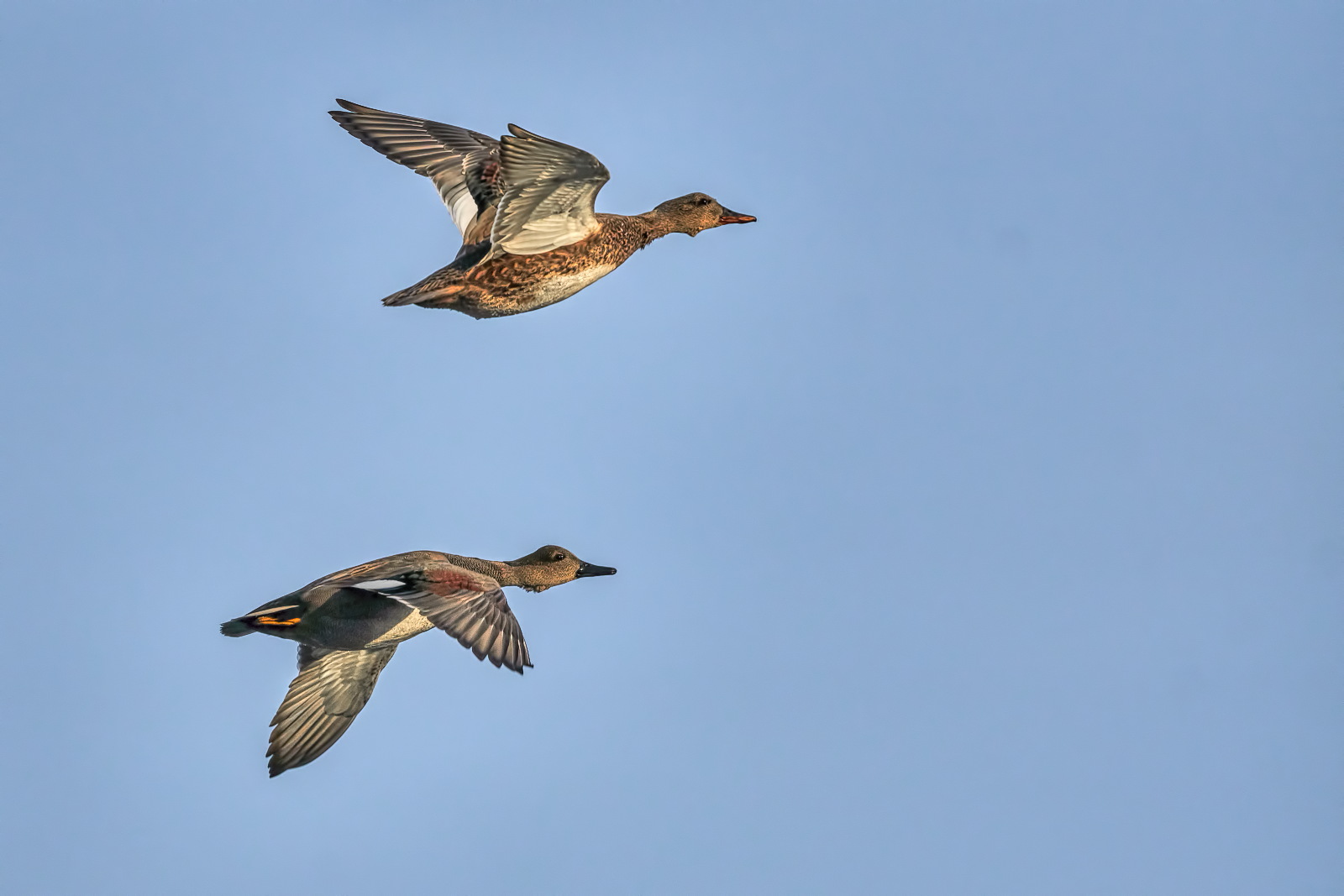 A Pair Away