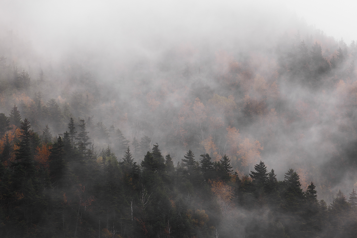 Franconia Fog