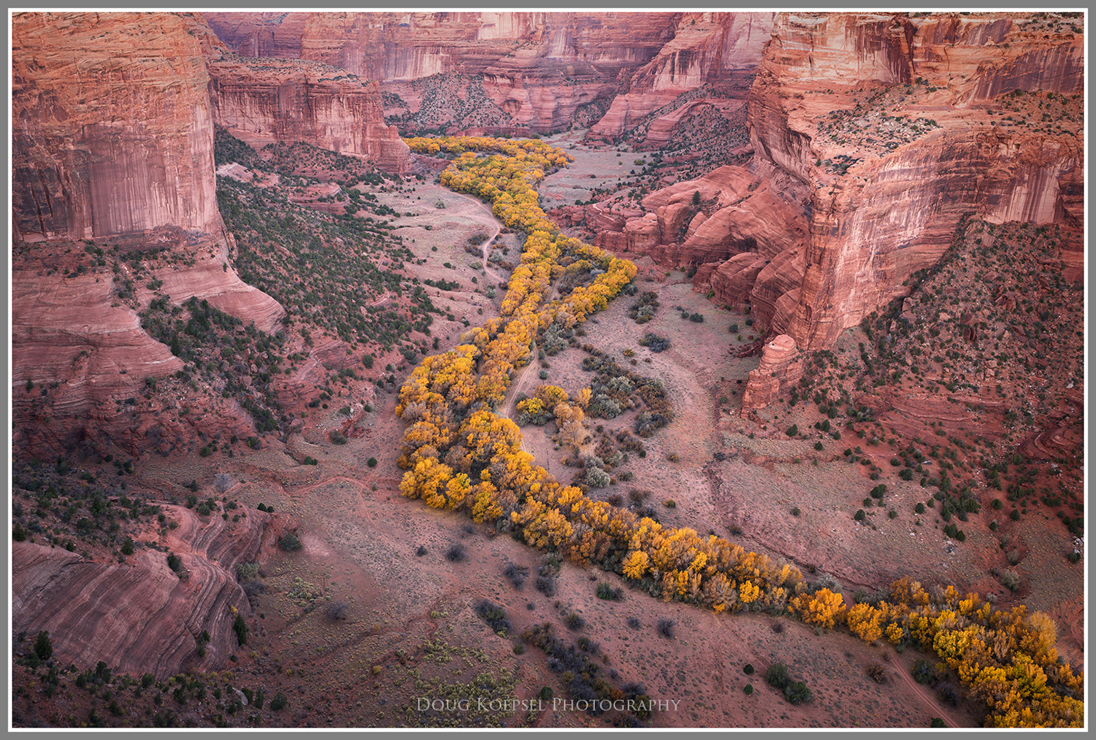 Golden Ribbons + BW conversions