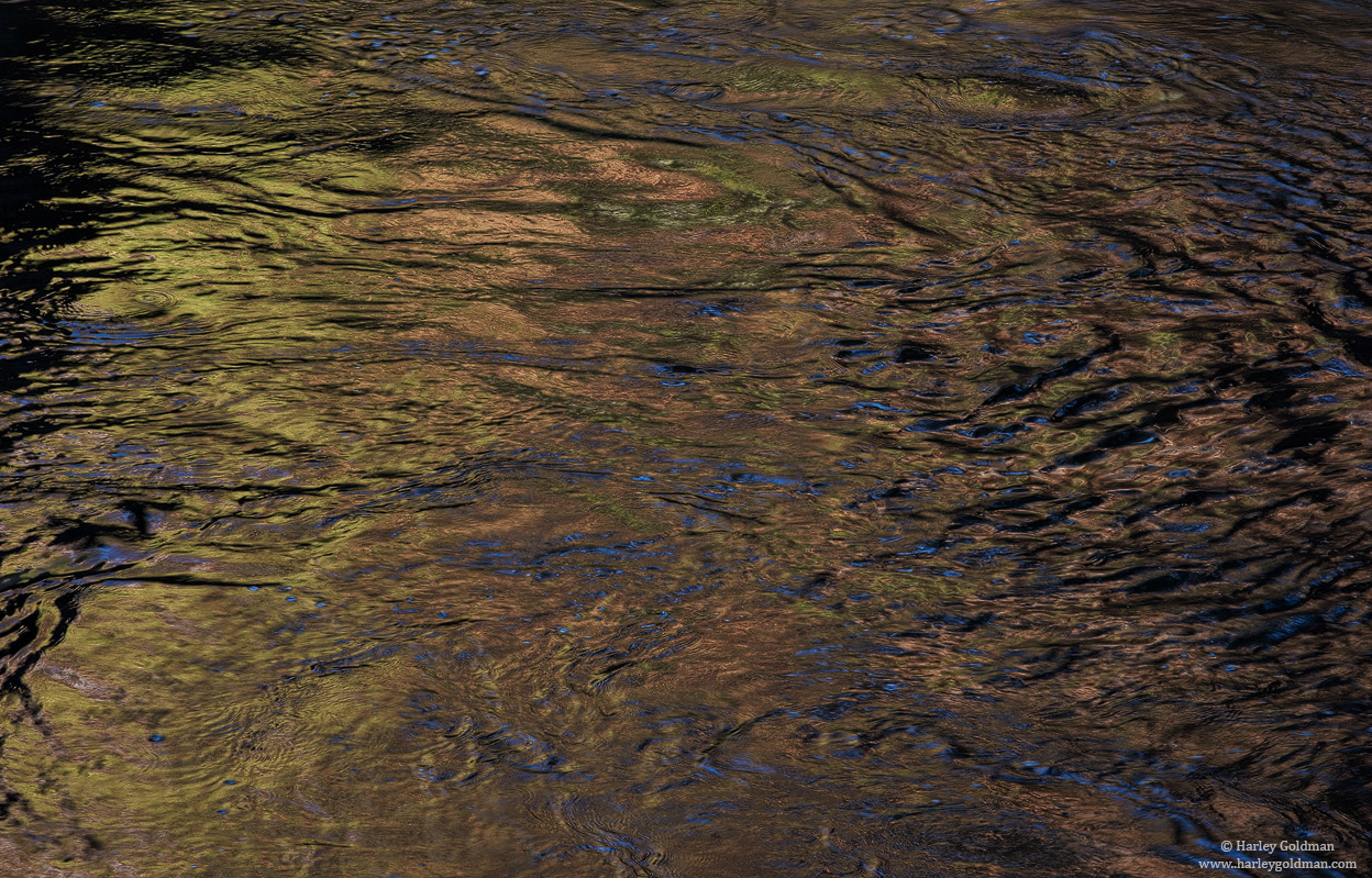 Intense Reflection + Alternative Crop