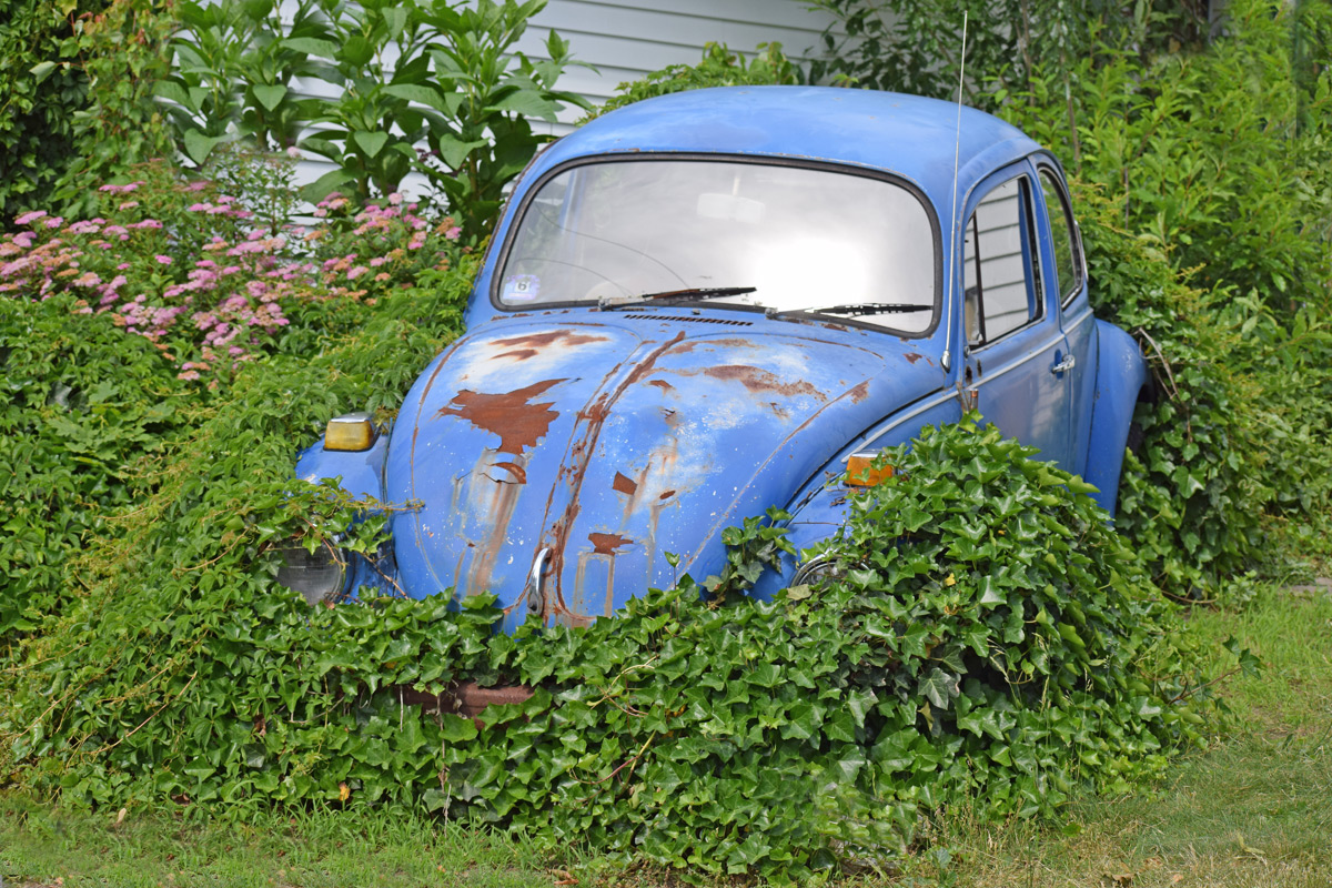 Forgotten in Nature