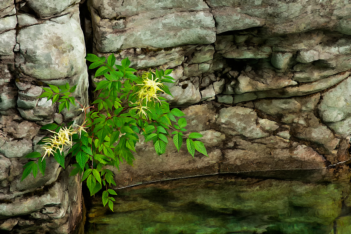 On The Rocks