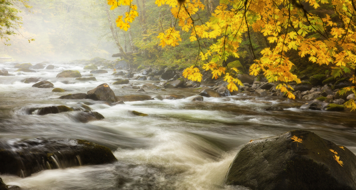 Salmon River, Mt Hood