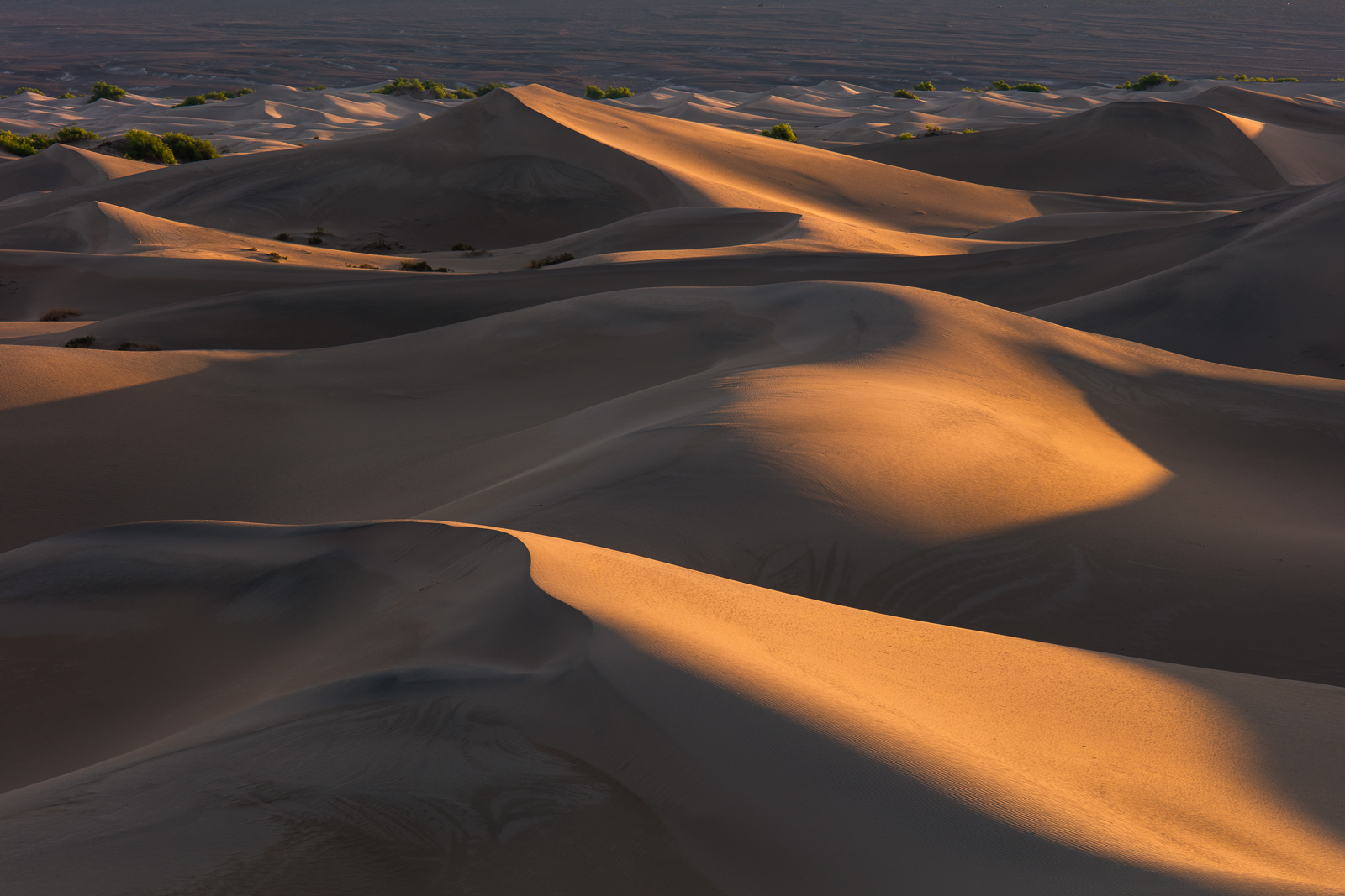 Dune Layers