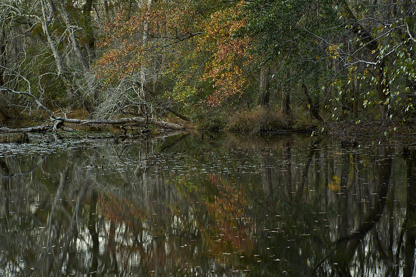 Claypit Pond