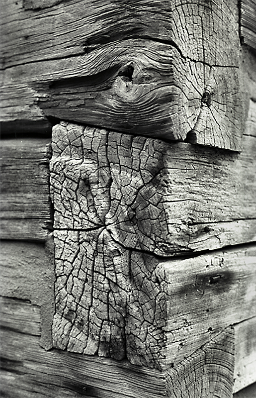 Corner of the Cabin