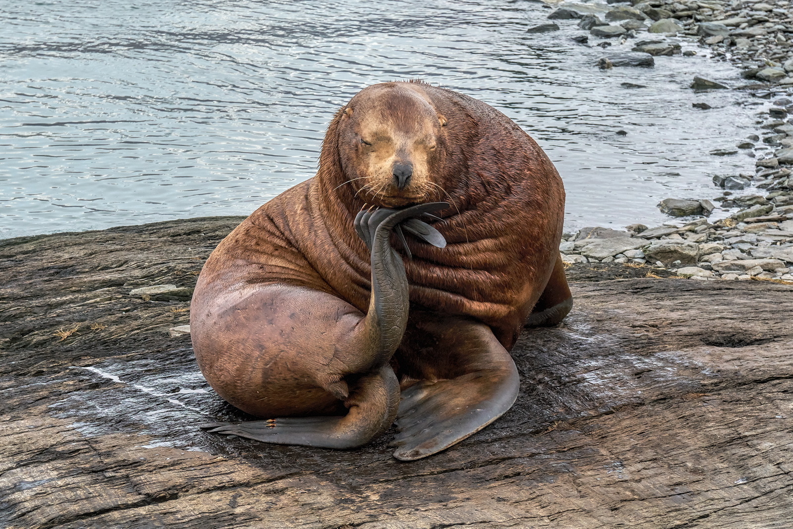 The Thinker