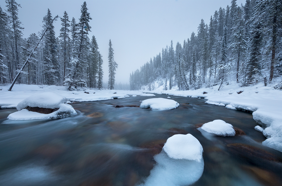 Frigid Flow