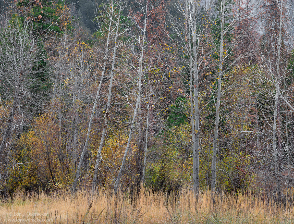Yosemite Unseen