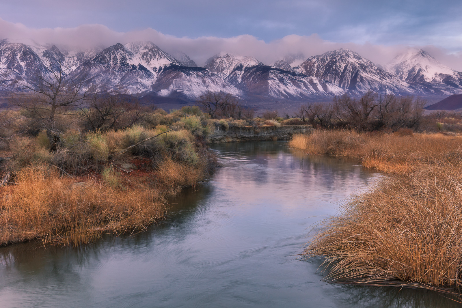 Winter's Palette 
