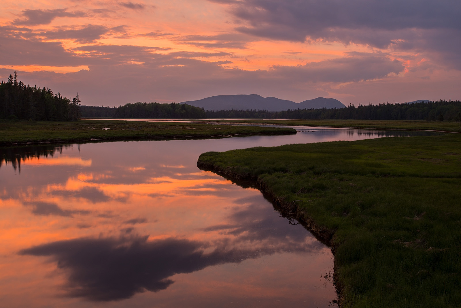 Bass Harbor Marsh + repost