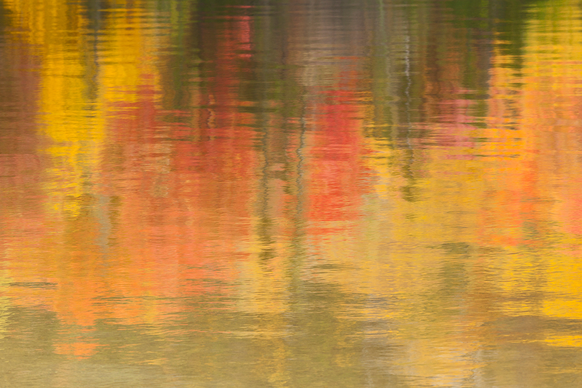 Echo Lake Reflections