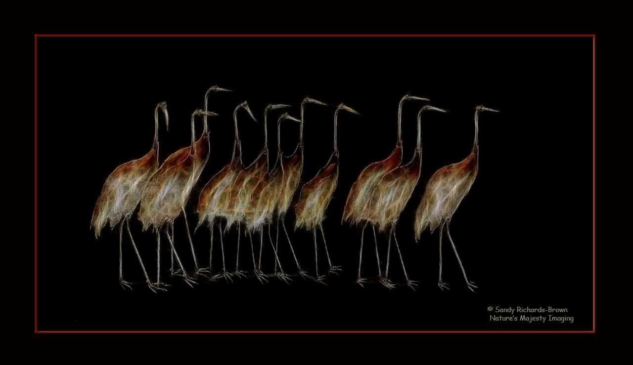 Eleven Cranes