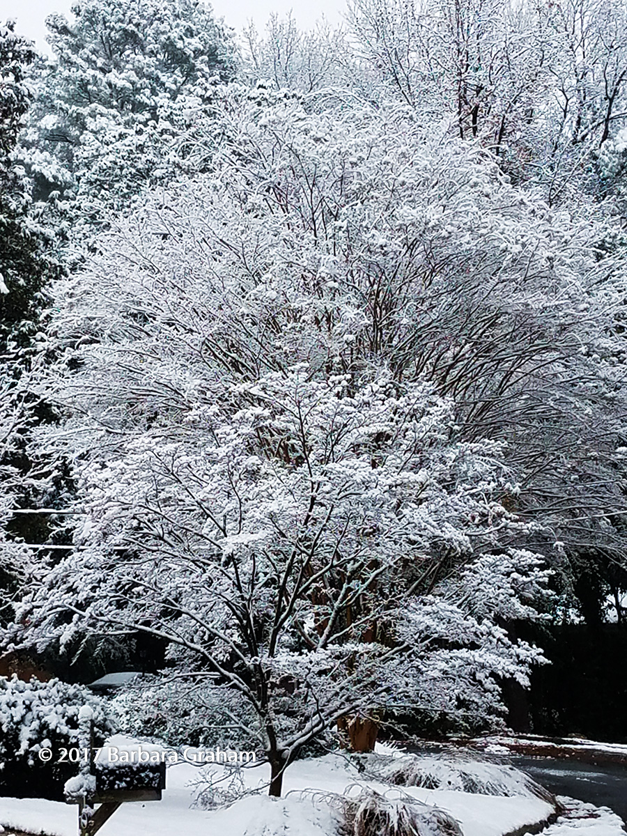 Snow in the South