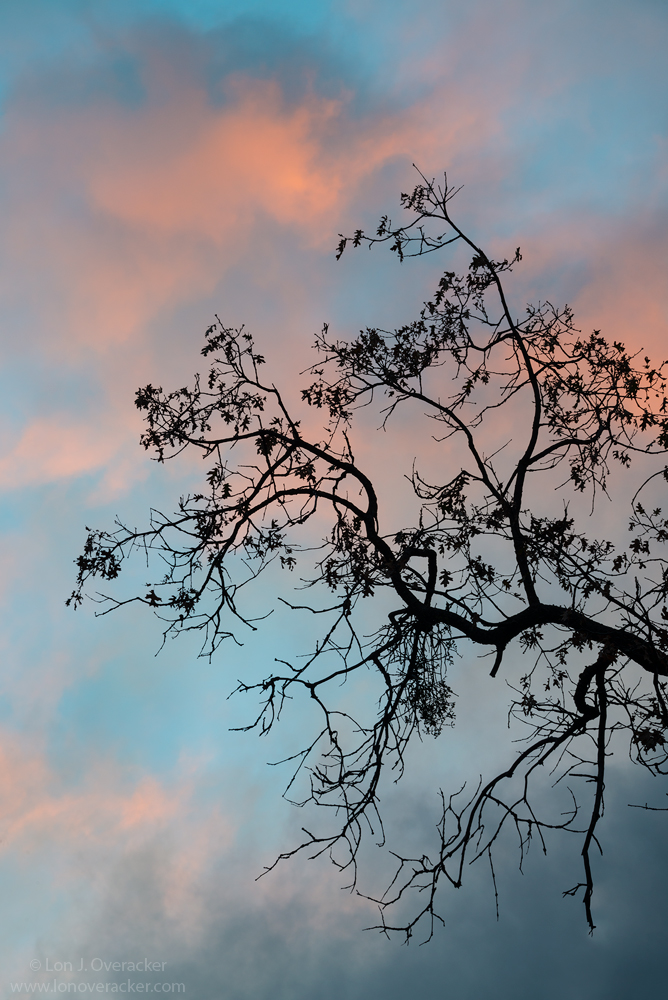 Day's End