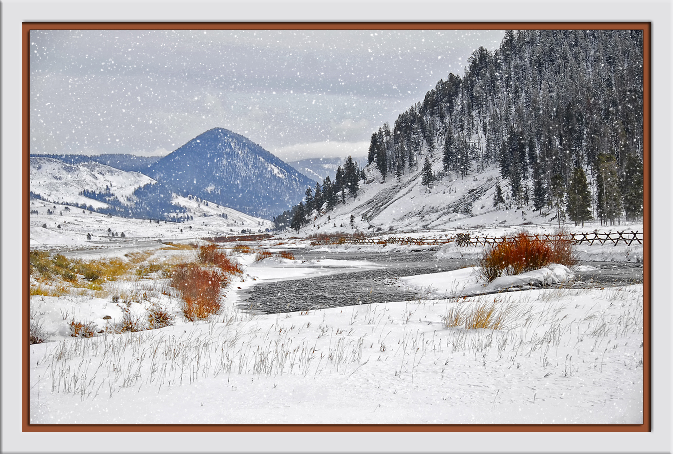 Snow Scene