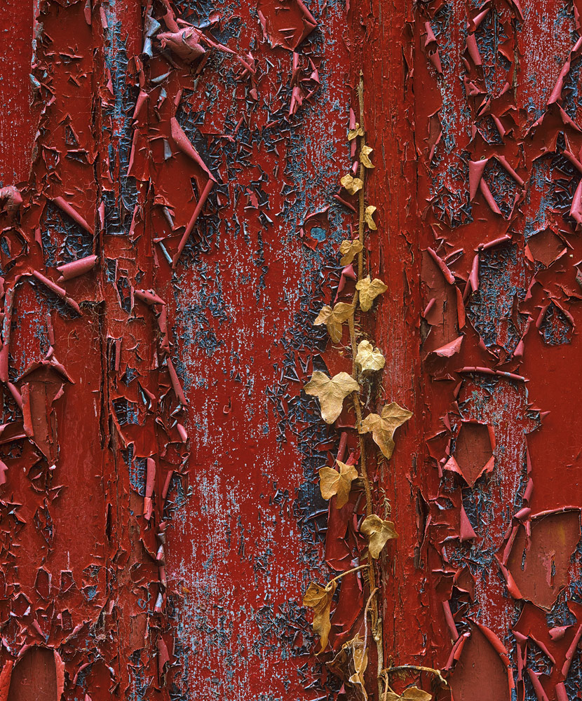 Decay