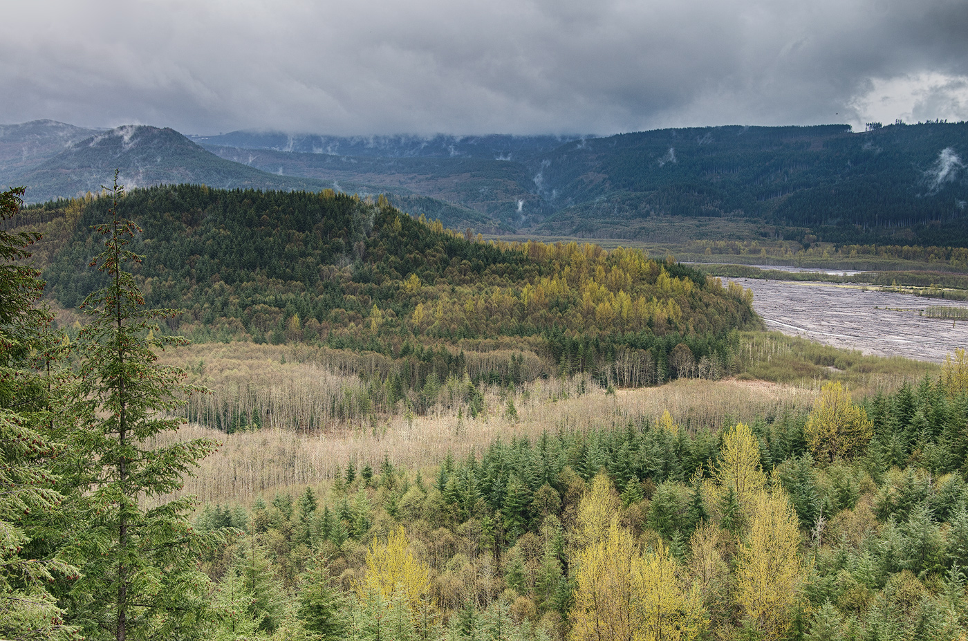 Near Mt. St. Helens