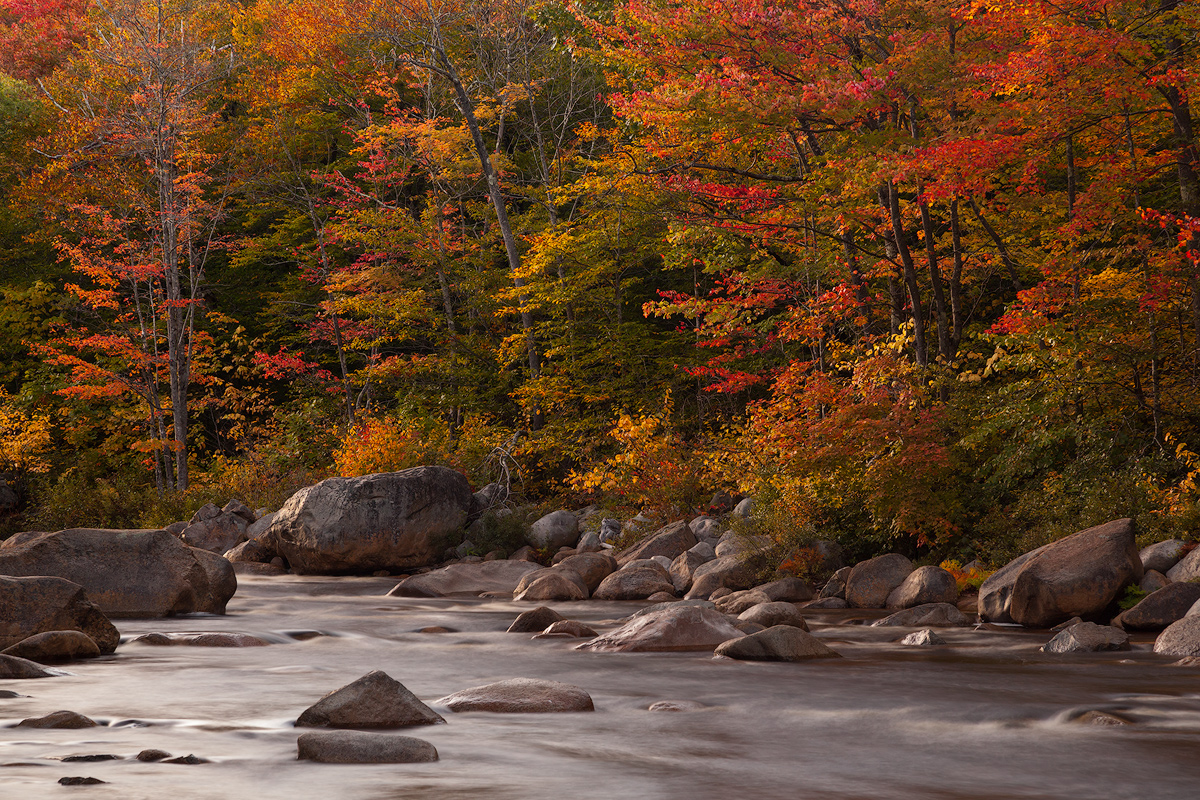 Fall in New Hampshire 4