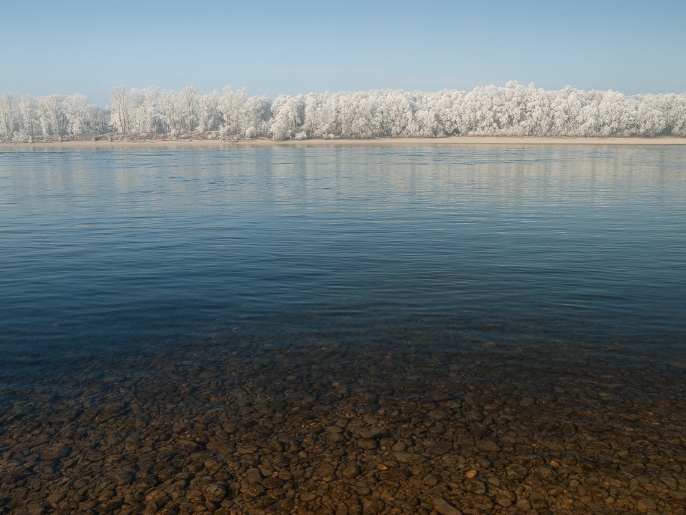 The Blue Danube