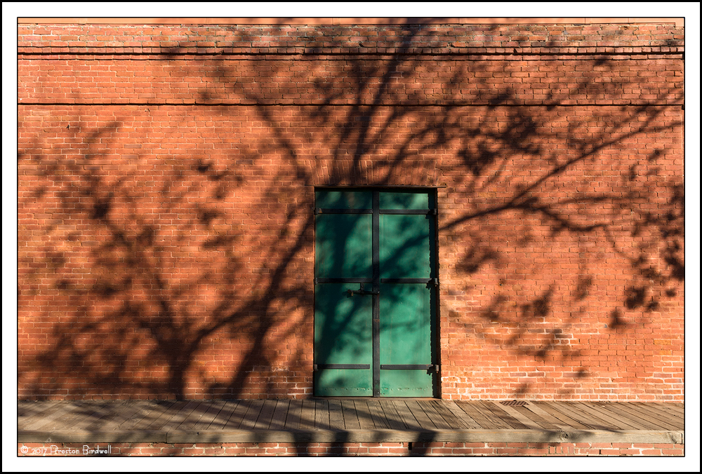 Shades of Early Winter