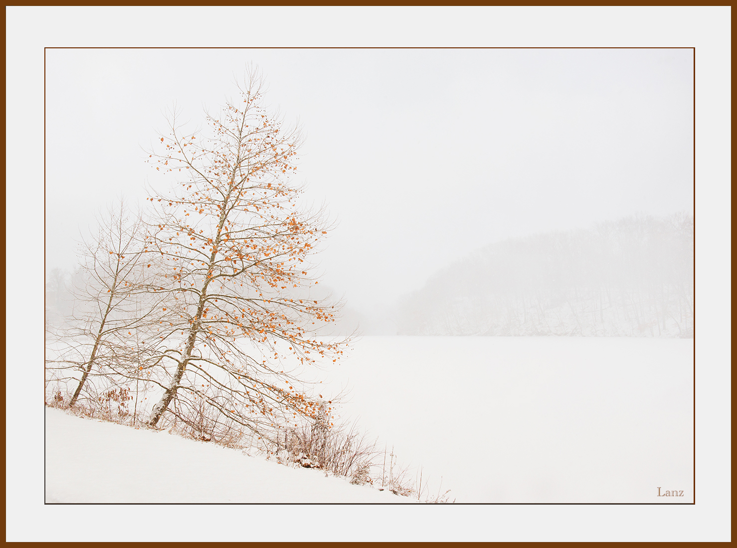 Blizzard