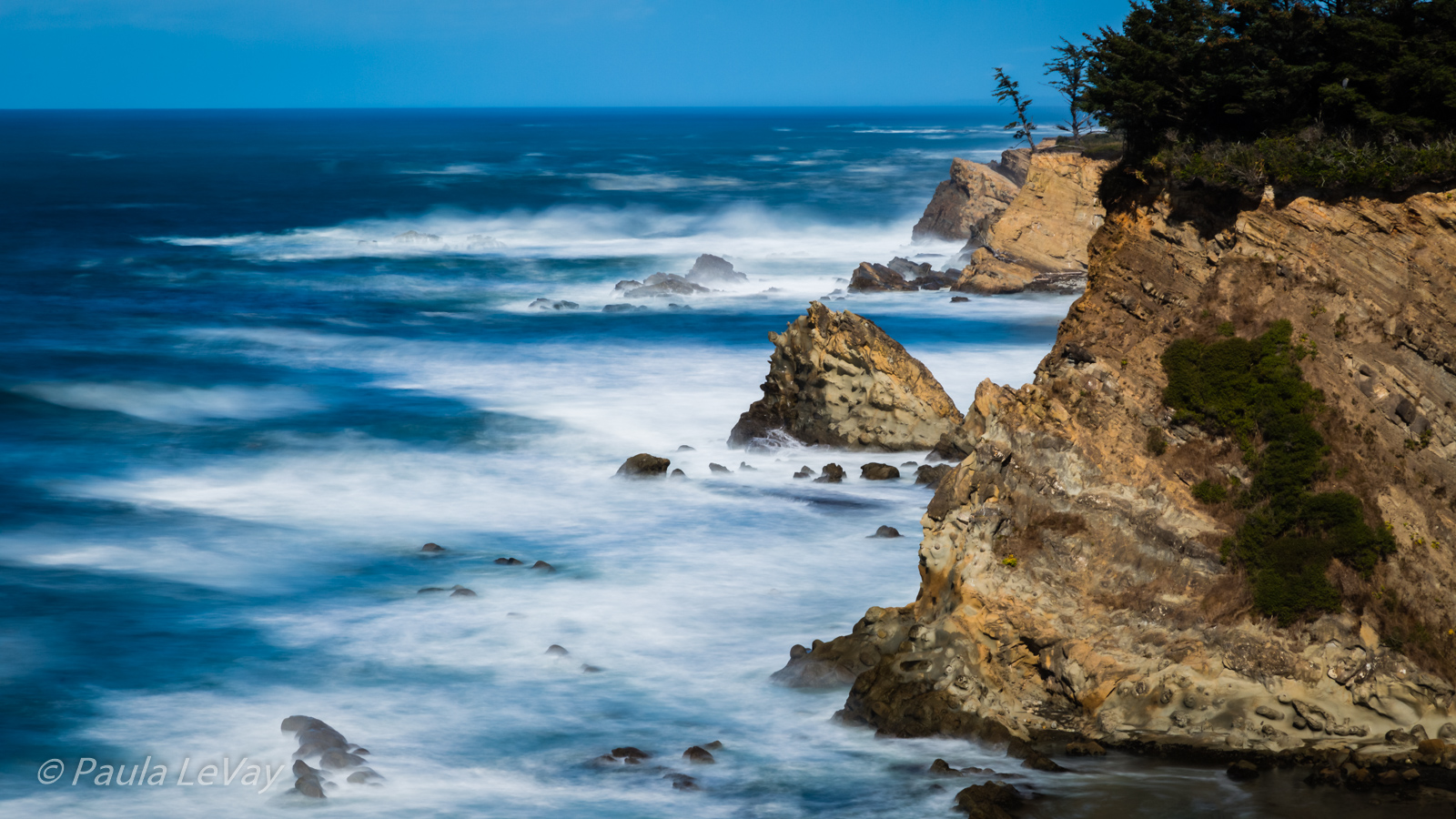 Simpson Reef Seascape
