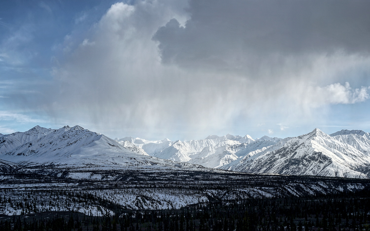 Selective Snow Storm