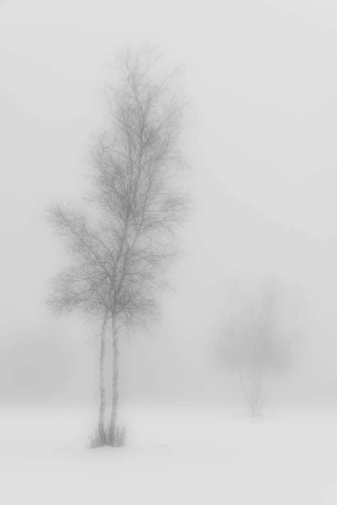 Thaw