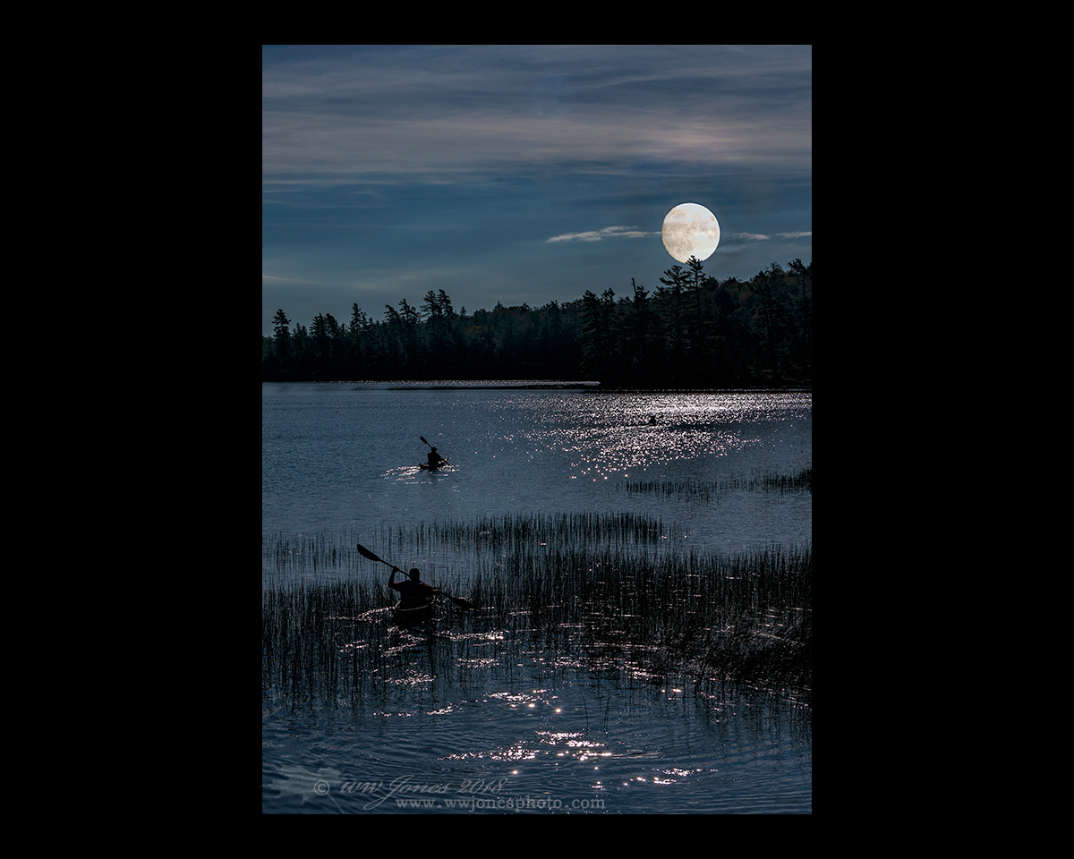 Moonlight Paddle Fantasy