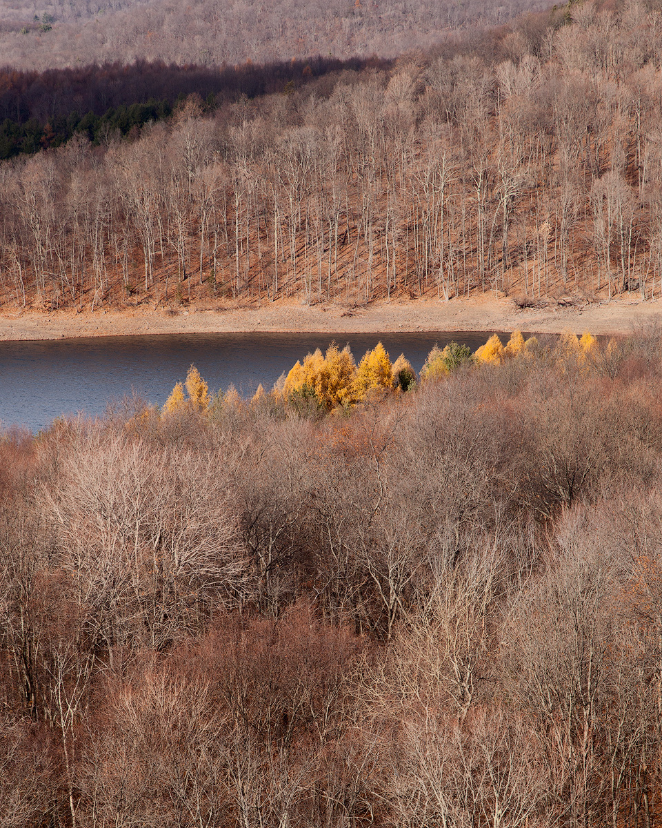 Late Fall Color