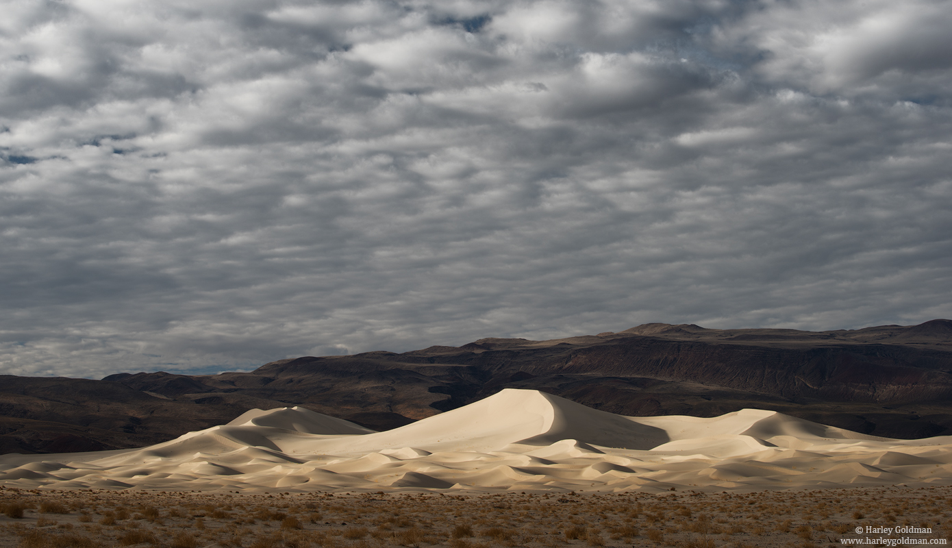 Dune Spotlight