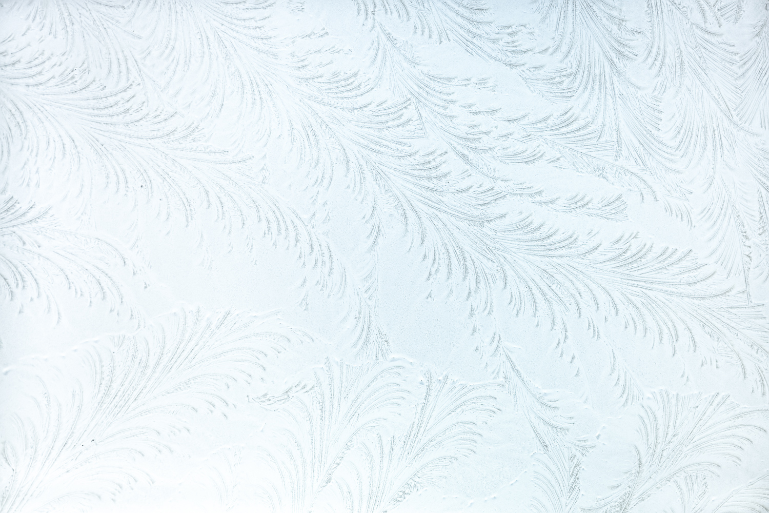 Feathers
