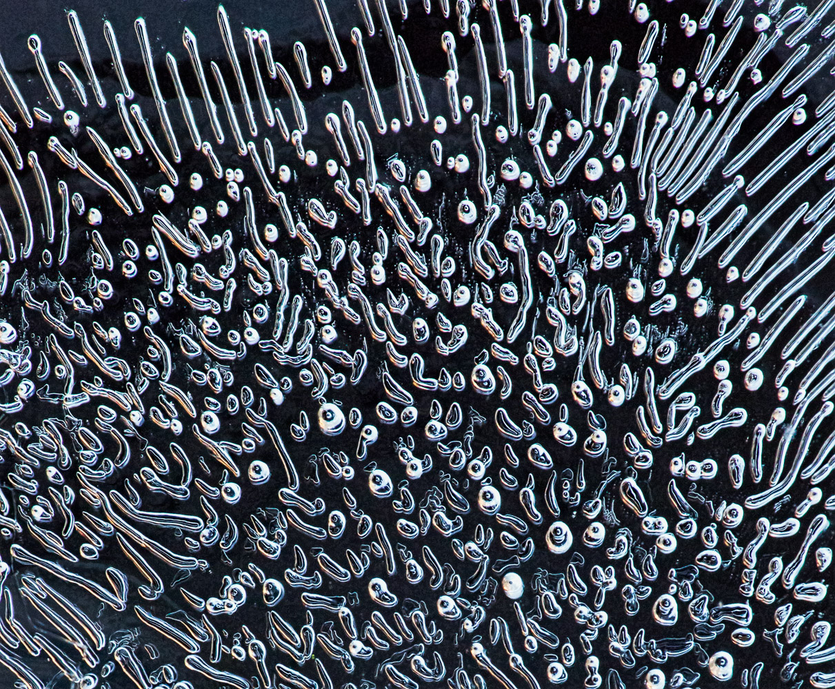 Ice Worms