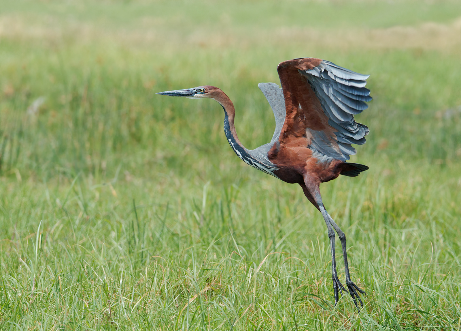 Lift Off