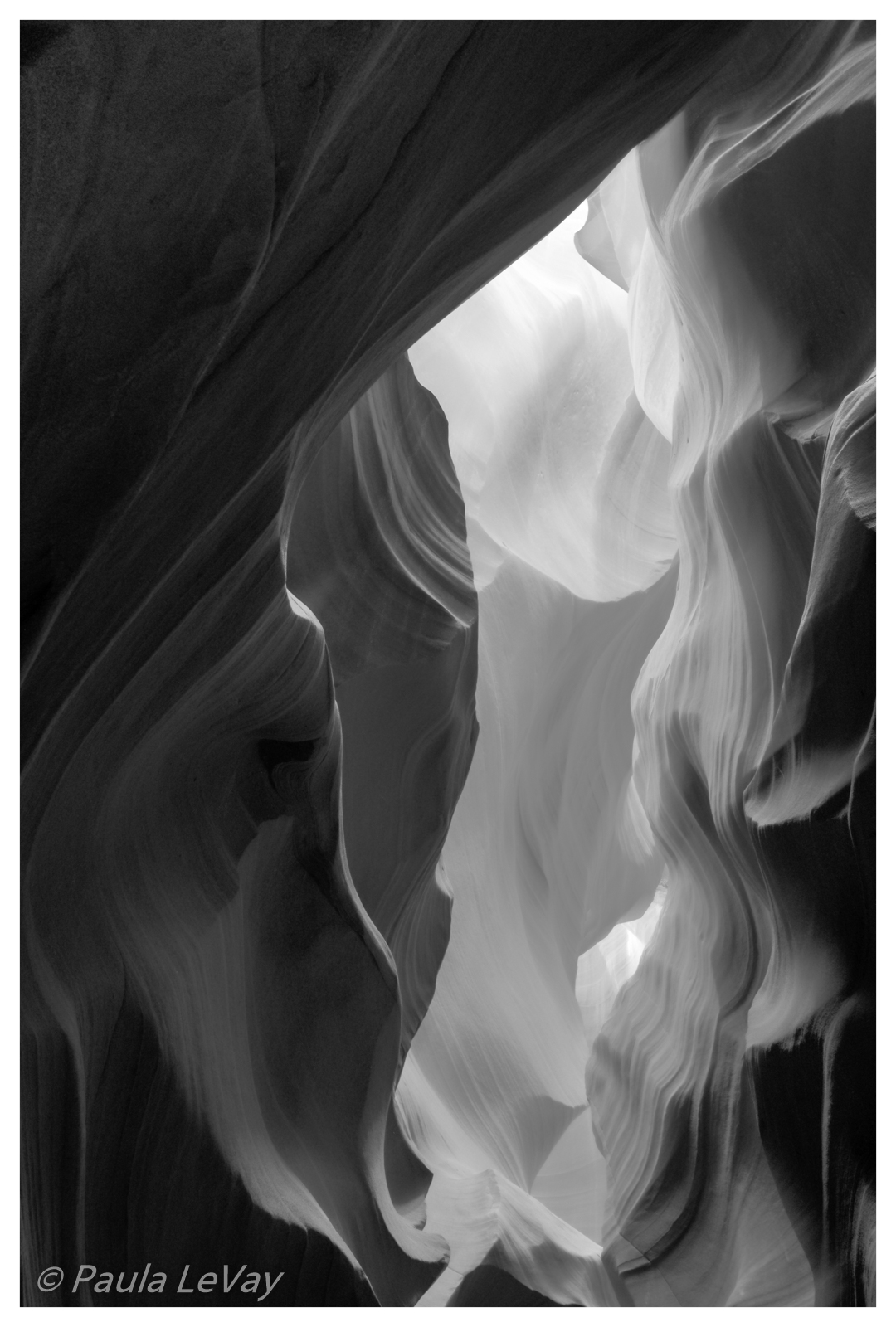 Upper Antelope in B & W