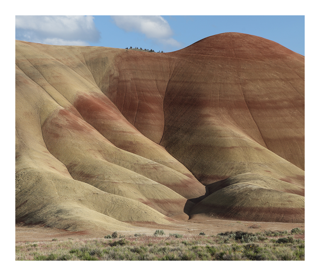 Painted Hills Forms