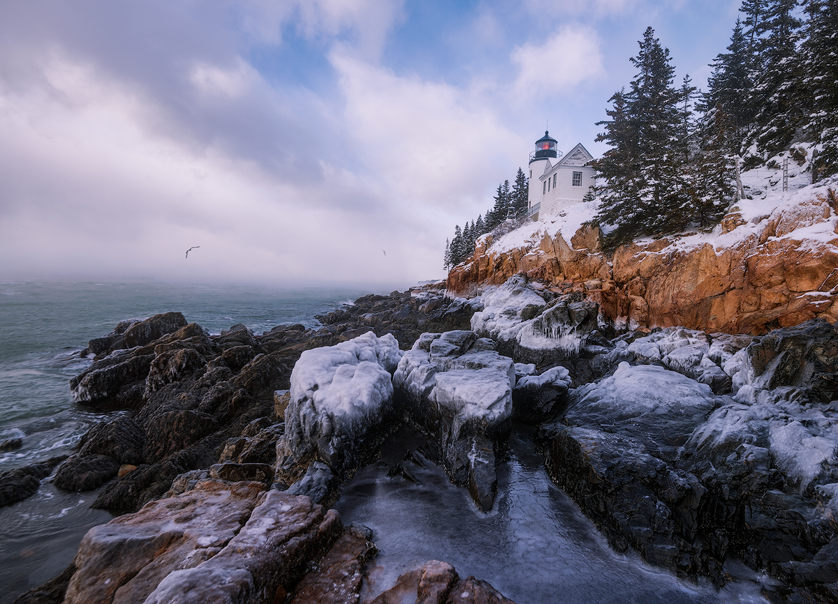 Bass Harbor Frosting