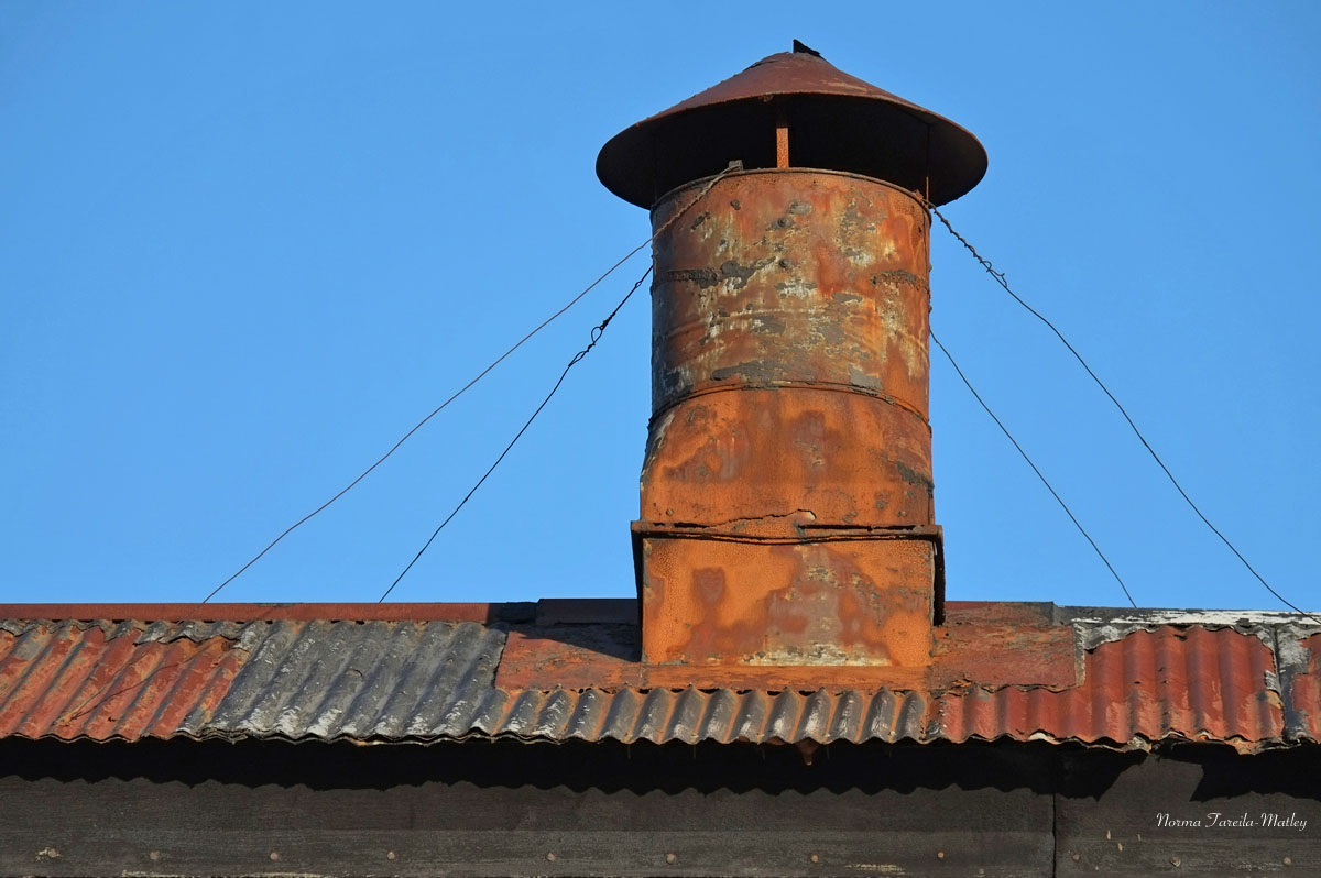 Old Cannery Roof