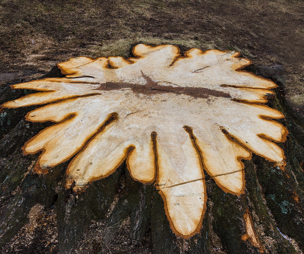 Requiem