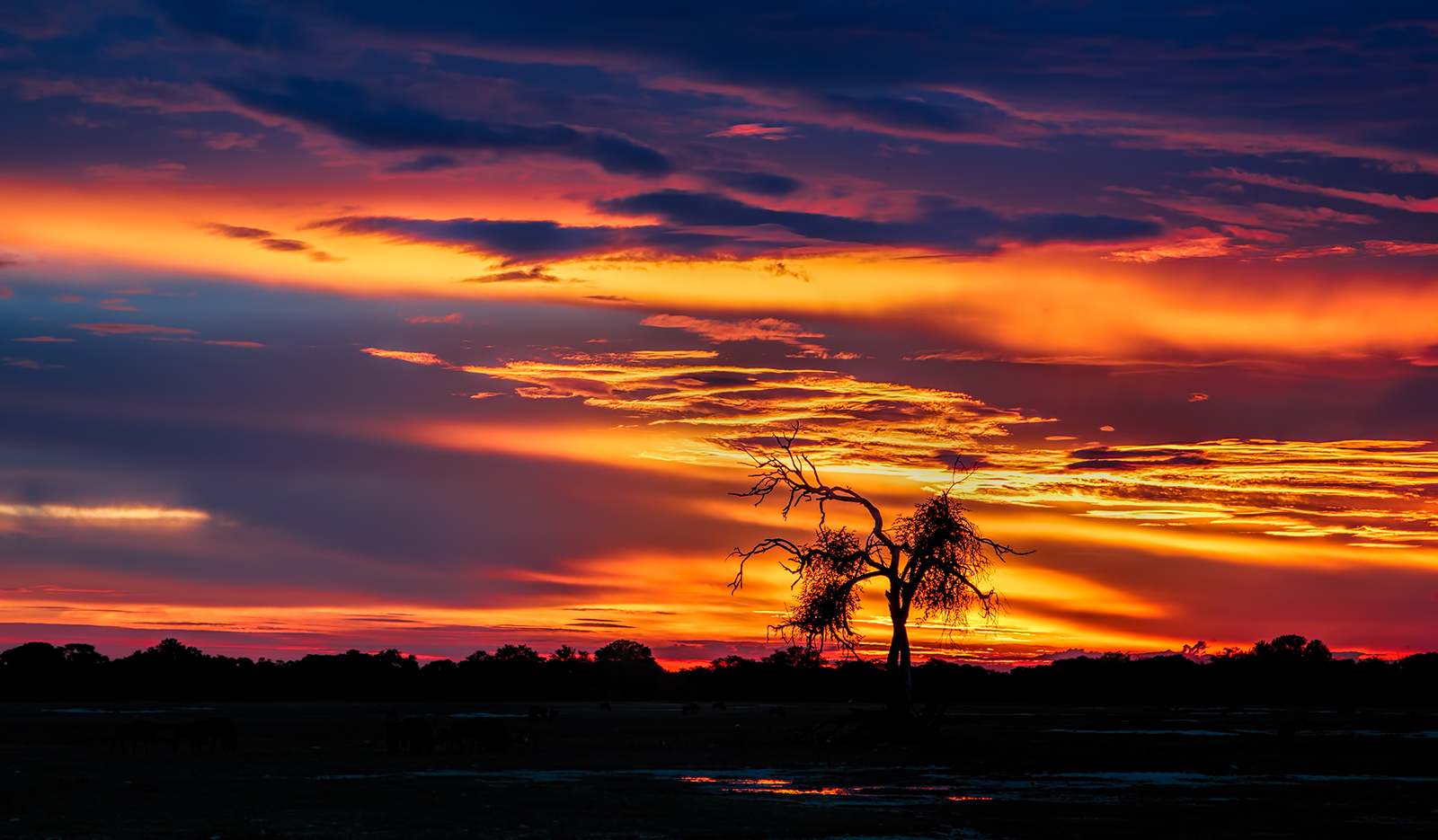 Zimbabwe Sunset
