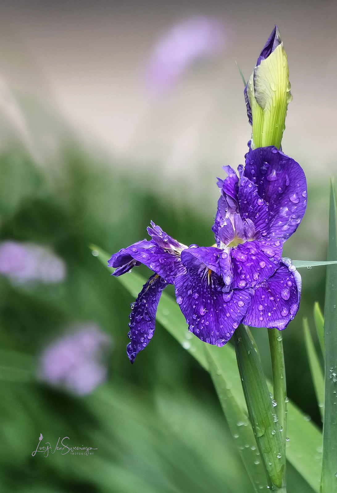 Spring Is Coming!