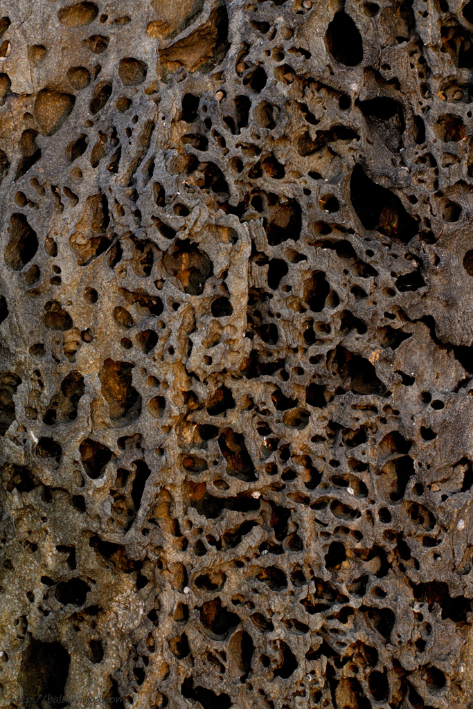 Natures Art Work