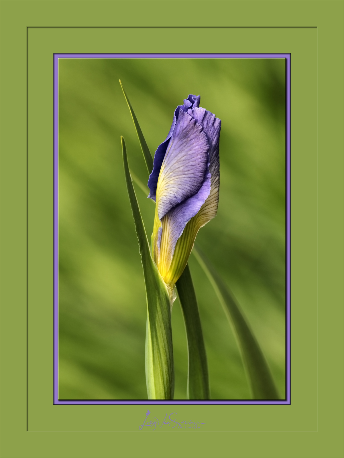 Spring Is Almost Here!