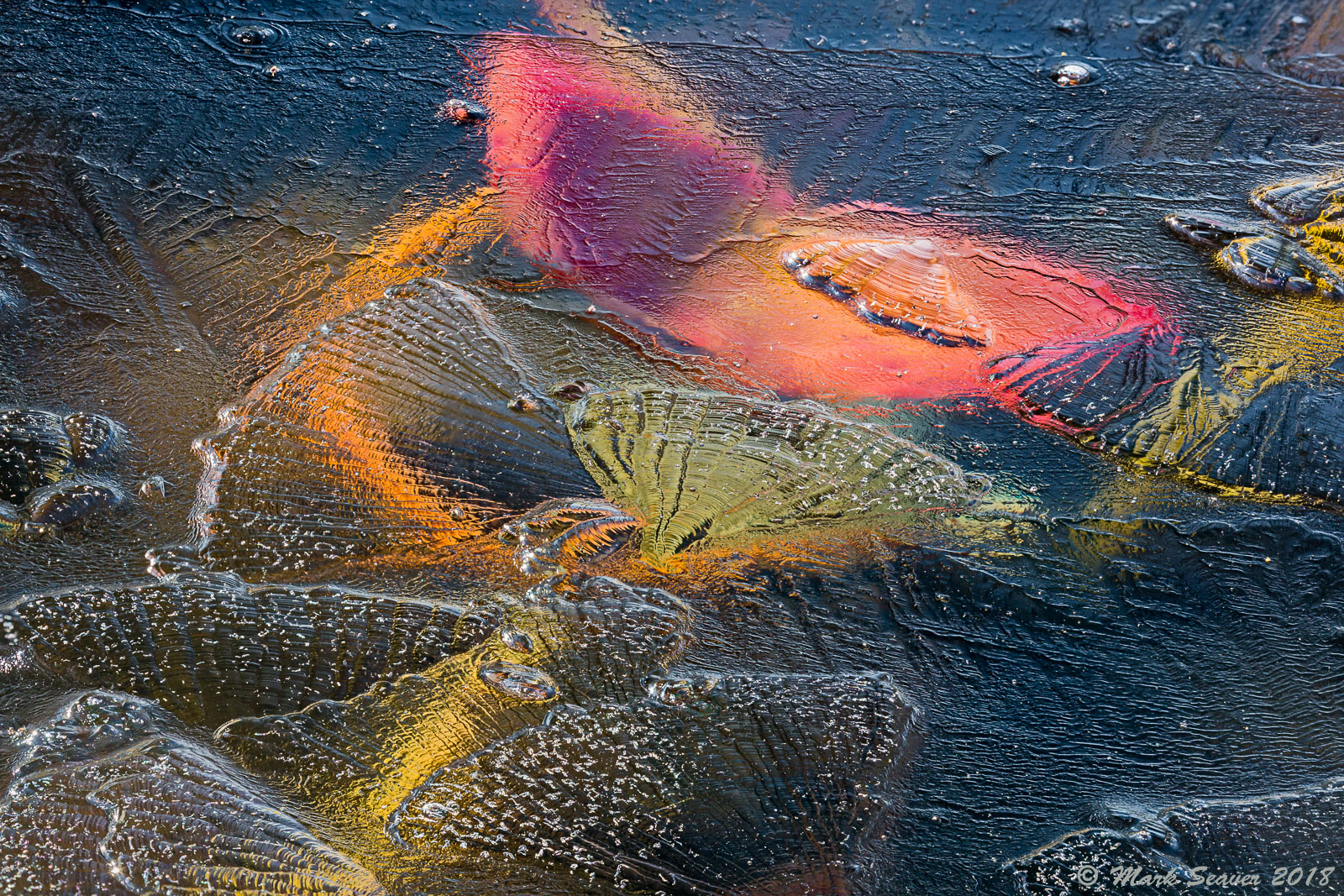 Through Thin Ice #2