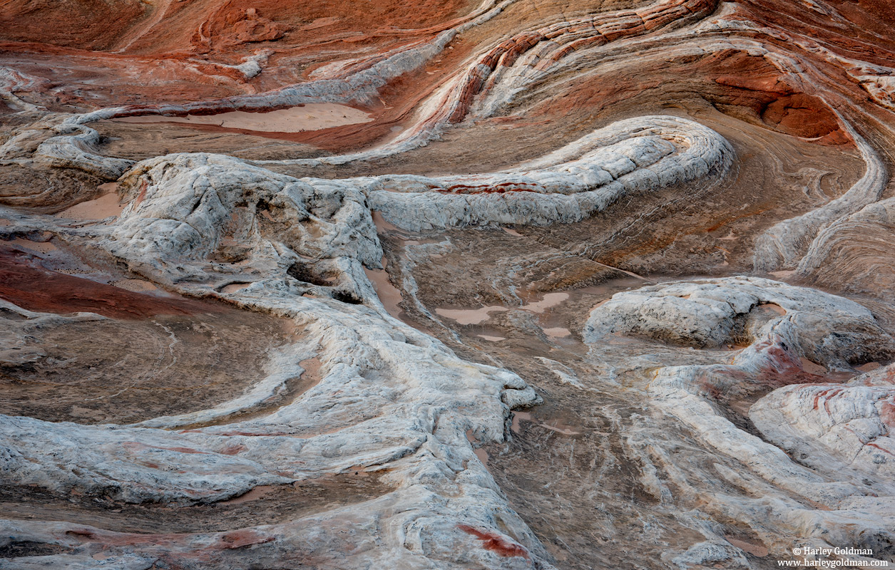 Tortured Earth