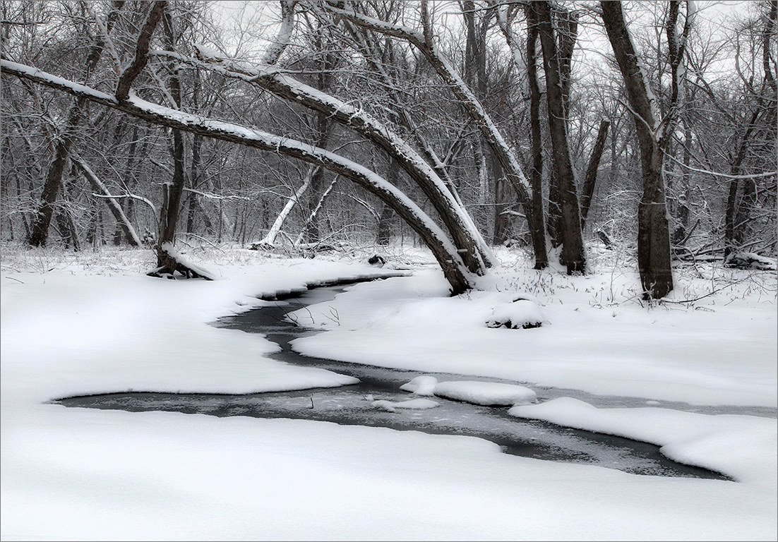 River Bottoms